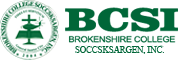 BCSI Logo
